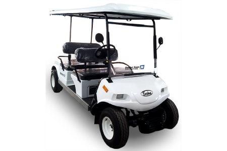 4 Seater Golf Cart