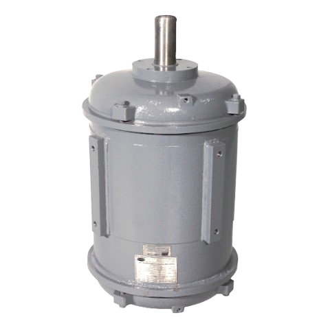3 Phase Induction Motor (MVRF)
