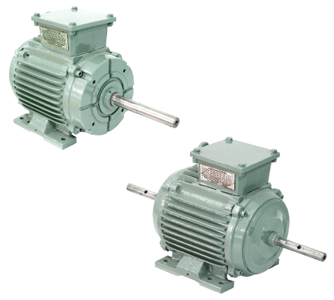 3 Phase Induction Motor for Roof Mounted AC Package Units